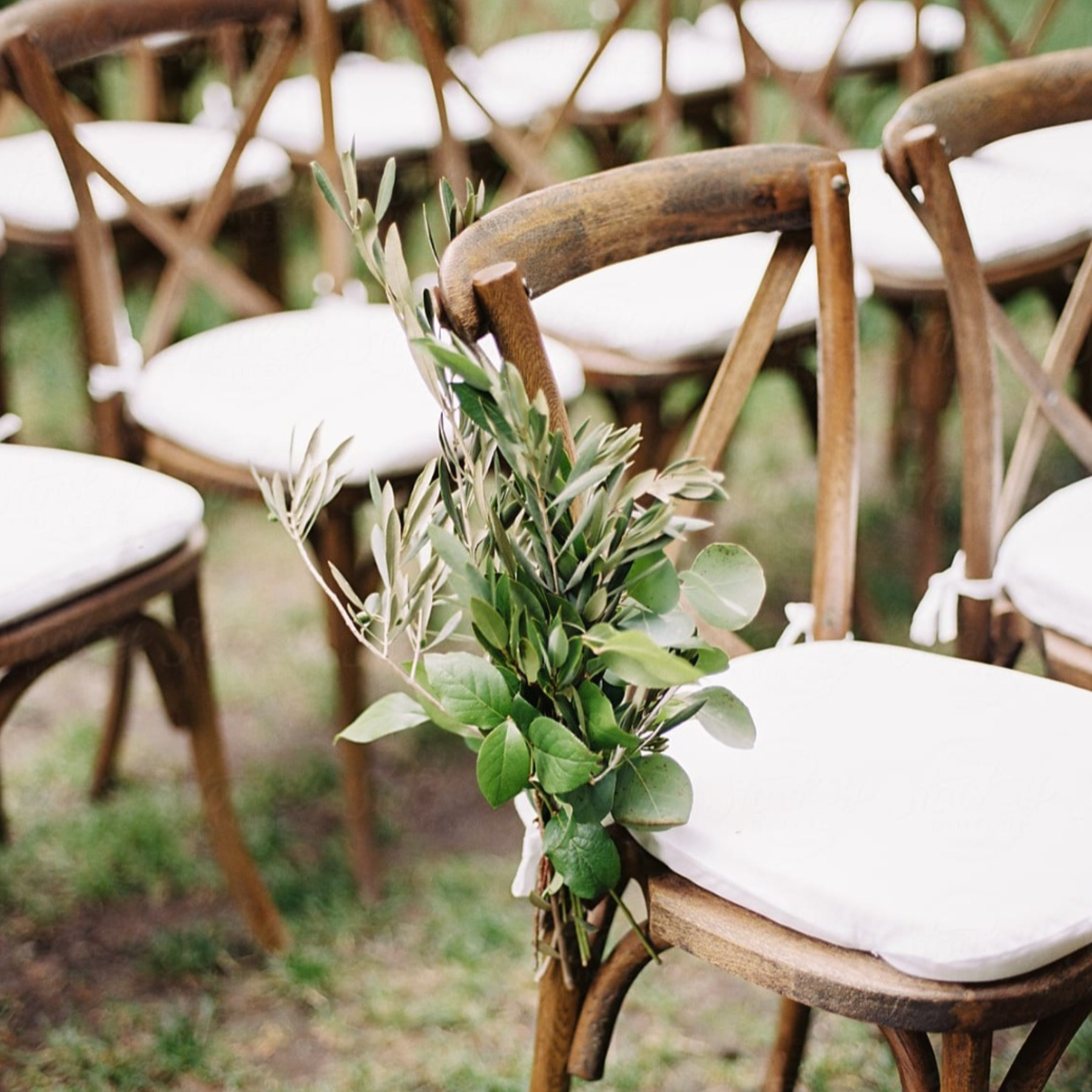 Outdoor ceremony with crossback chairs decorated with greenery and white cushions