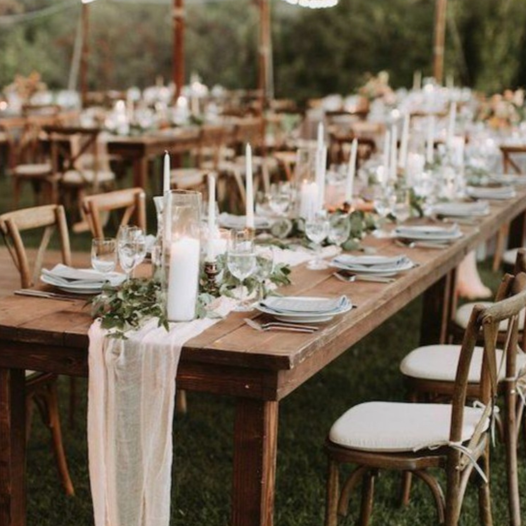 Outdoor wedding reception with farm tables, crossback chairs, and cheesecloth runner