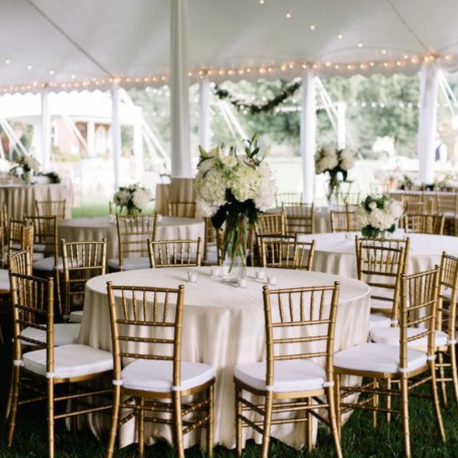 Tent wedding reception with gold chiavari chairs and white floral centerpieces