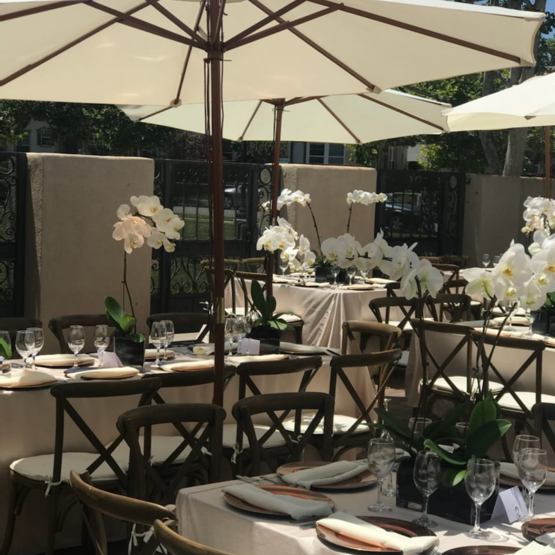 Outdoor luncheon with ivory market umbrellas, crossback chairs, and white orchid centerpieces